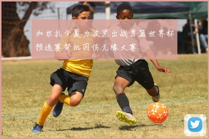 加尔扎今夏为波黑出战男篮世界杯预选赛弩机因伤无缘大赛